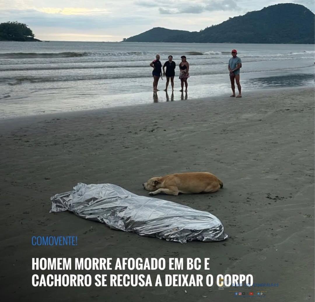 Cachorro Permanece ao Lado de Tutor Morto em Balneário Camboriú e Cena Comove  Fidelidade e Amor: